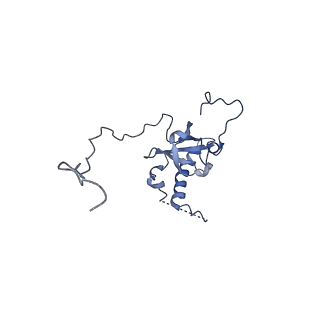 0369_6n8j_E_v1-1
Cryo-EM structure of late nuclear (LN) pre-60S ribosomal subunit