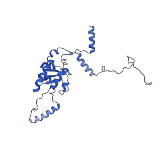 0369_6n8j_G_v1-1
Cryo-EM structure of late nuclear (LN) pre-60S ribosomal subunit
