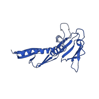 0369_6n8j_H_v1-1
Cryo-EM structure of late nuclear (LN) pre-60S ribosomal subunit