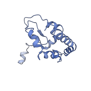 0369_6n8j_I_v1-1
Cryo-EM structure of late nuclear (LN) pre-60S ribosomal subunit