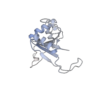 0369_6n8j_J_v1-1
Cryo-EM structure of late nuclear (LN) pre-60S ribosomal subunit