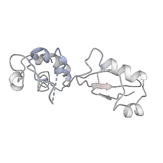 0369_6n8j_K_v1-1
Cryo-EM structure of late nuclear (LN) pre-60S ribosomal subunit