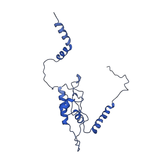 0369_6n8j_L_v1-1
Cryo-EM structure of late nuclear (LN) pre-60S ribosomal subunit