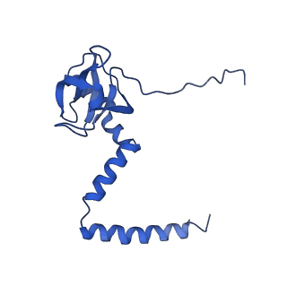 0369_6n8j_M_v1-1
Cryo-EM structure of late nuclear (LN) pre-60S ribosomal subunit