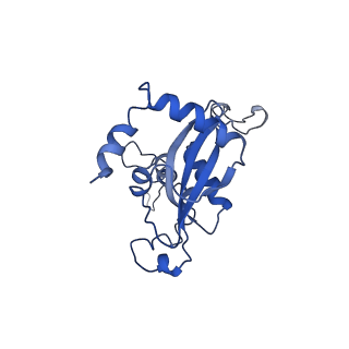 0369_6n8j_N_v1-1
Cryo-EM structure of late nuclear (LN) pre-60S ribosomal subunit