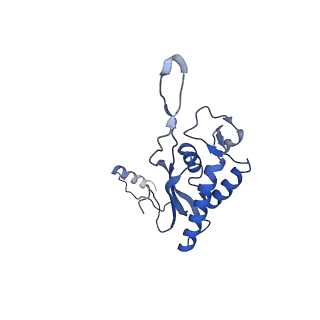 0369_6n8j_P_v1-1
Cryo-EM structure of late nuclear (LN) pre-60S ribosomal subunit