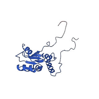 0369_6n8j_Q_v1-1
Cryo-EM structure of late nuclear (LN) pre-60S ribosomal subunit