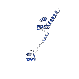 0369_6n8j_R_v1-1
Cryo-EM structure of late nuclear (LN) pre-60S ribosomal subunit