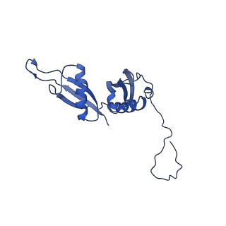 0369_6n8j_S_v1-1
Cryo-EM structure of late nuclear (LN) pre-60S ribosomal subunit