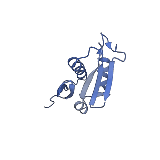 0369_6n8j_U_v1-1
Cryo-EM structure of late nuclear (LN) pre-60S ribosomal subunit