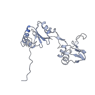 0369_6n8j_W_v1-1
Cryo-EM structure of late nuclear (LN) pre-60S ribosomal subunit