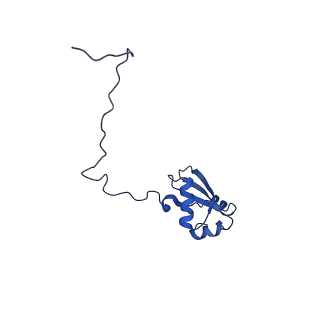 0369_6n8j_X_v1-1
Cryo-EM structure of late nuclear (LN) pre-60S ribosomal subunit