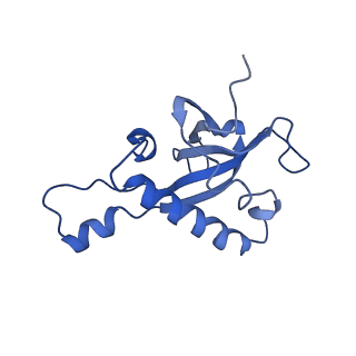 0369_6n8j_Z_v1-1
Cryo-EM structure of late nuclear (LN) pre-60S ribosomal subunit