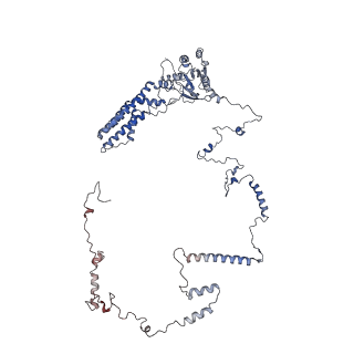 0369_6n8j_b_v1-1
Cryo-EM structure of late nuclear (LN) pre-60S ribosomal subunit