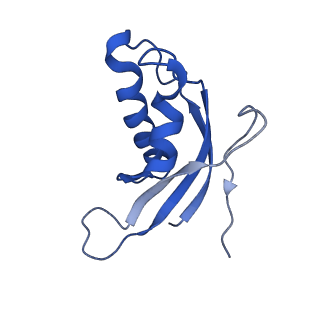 0369_6n8j_d_v1-1
Cryo-EM structure of late nuclear (LN) pre-60S ribosomal subunit