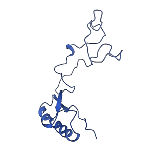 0369_6n8j_e_v1-1
Cryo-EM structure of late nuclear (LN) pre-60S ribosomal subunit