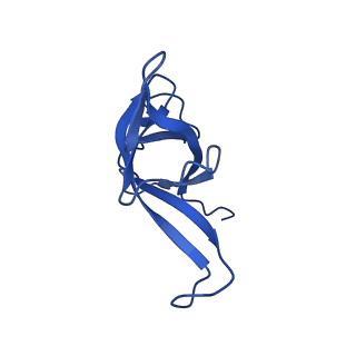 0369_6n8j_f_v1-1
Cryo-EM structure of late nuclear (LN) pre-60S ribosomal subunit