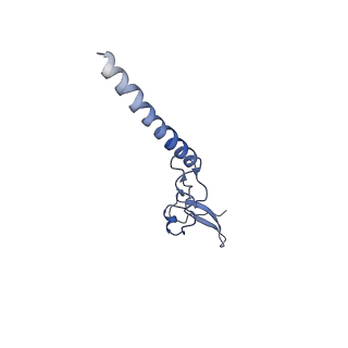 0369_6n8j_g_v1-1
Cryo-EM structure of late nuclear (LN) pre-60S ribosomal subunit