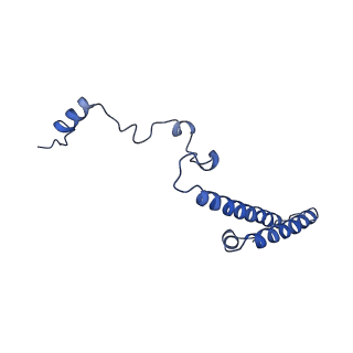 0369_6n8j_h_v1-1
Cryo-EM structure of late nuclear (LN) pre-60S ribosomal subunit