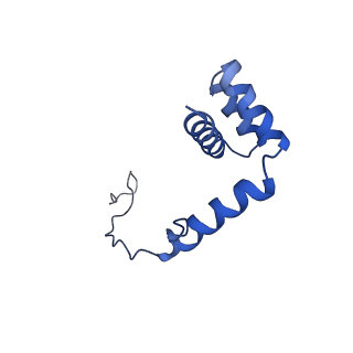 0369_6n8j_i_v1-1
Cryo-EM structure of late nuclear (LN) pre-60S ribosomal subunit