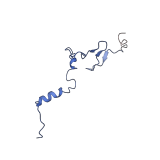 0369_6n8j_j_v1-1
Cryo-EM structure of late nuclear (LN) pre-60S ribosomal subunit