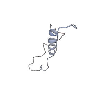 0369_6n8j_l_v1-1
Cryo-EM structure of late nuclear (LN) pre-60S ribosomal subunit
