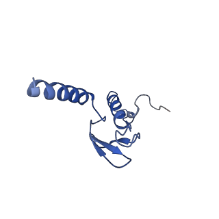 0369_6n8j_p_v1-1
Cryo-EM structure of late nuclear (LN) pre-60S ribosomal subunit