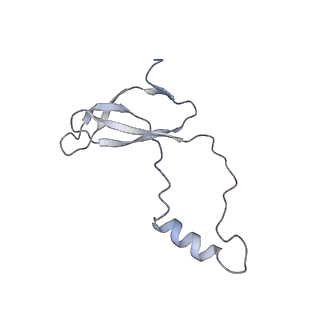 0369_6n8j_q_v1-1
Cryo-EM structure of late nuclear (LN) pre-60S ribosomal subunit
