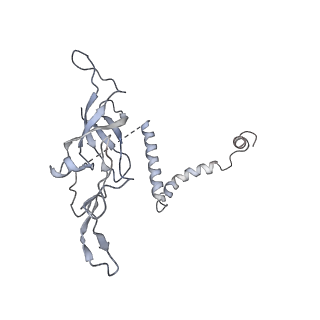 0369_6n8j_r_v1-1
Cryo-EM structure of late nuclear (LN) pre-60S ribosomal subunit