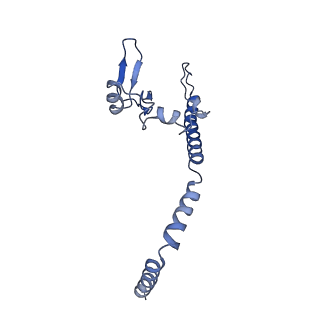 0369_6n8j_u_v1-1
Cryo-EM structure of late nuclear (LN) pre-60S ribosomal subunit