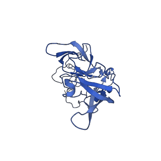 0370_6n8k_A_v1-1
Cryo-EM structure of early cytoplasmic-immediate (ECI) pre-60S ribosomal subunit