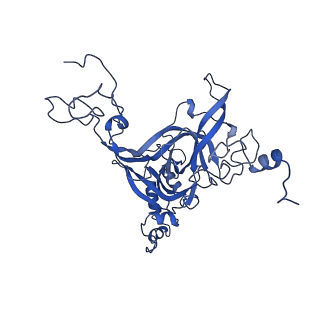 0370_6n8k_B_v1-1
Cryo-EM structure of early cytoplasmic-immediate (ECI) pre-60S ribosomal subunit