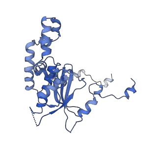 0370_6n8k_D_v1-1
Cryo-EM structure of early cytoplasmic-immediate (ECI) pre-60S ribosomal subunit