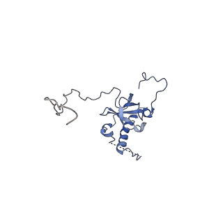 0370_6n8k_E_v1-1
Cryo-EM structure of early cytoplasmic-immediate (ECI) pre-60S ribosomal subunit