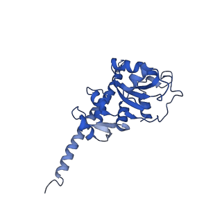 0370_6n8k_F_v1-1
Cryo-EM structure of early cytoplasmic-immediate (ECI) pre-60S ribosomal subunit