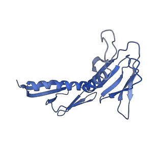 0370_6n8k_H_v1-1
Cryo-EM structure of early cytoplasmic-immediate (ECI) pre-60S ribosomal subunit