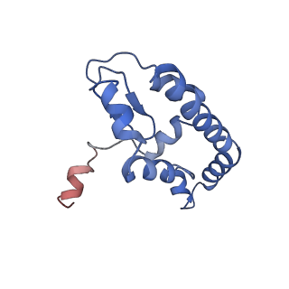 0370_6n8k_I_v1-1
Cryo-EM structure of early cytoplasmic-immediate (ECI) pre-60S ribosomal subunit