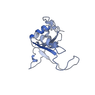0370_6n8k_J_v1-1
Cryo-EM structure of early cytoplasmic-immediate (ECI) pre-60S ribosomal subunit