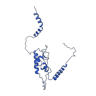 0370_6n8k_L_v1-1
Cryo-EM structure of early cytoplasmic-immediate (ECI) pre-60S ribosomal subunit