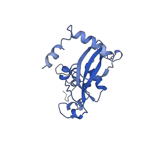 0370_6n8k_N_v1-1
Cryo-EM structure of early cytoplasmic-immediate (ECI) pre-60S ribosomal subunit