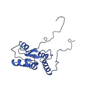0370_6n8k_Q_v1-1
Cryo-EM structure of early cytoplasmic-immediate (ECI) pre-60S ribosomal subunit