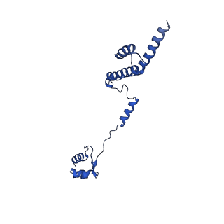 0370_6n8k_R_v1-1
Cryo-EM structure of early cytoplasmic-immediate (ECI) pre-60S ribosomal subunit