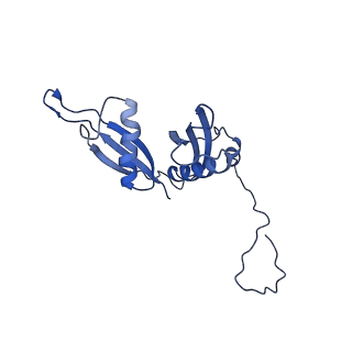 0370_6n8k_S_v1-1
Cryo-EM structure of early cytoplasmic-immediate (ECI) pre-60S ribosomal subunit