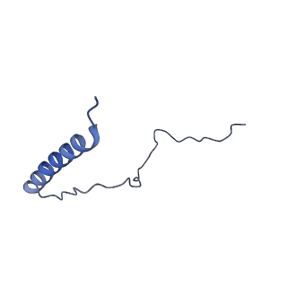 0370_6n8k_T_v1-1
Cryo-EM structure of early cytoplasmic-immediate (ECI) pre-60S ribosomal subunit