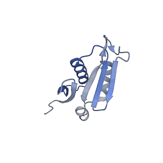 0370_6n8k_U_v1-1
Cryo-EM structure of early cytoplasmic-immediate (ECI) pre-60S ribosomal subunit