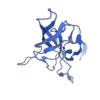 0370_6n8k_V_v1-1
Cryo-EM structure of early cytoplasmic-immediate (ECI) pre-60S ribosomal subunit