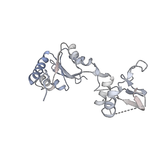 0370_6n8k_W_v1-1
Cryo-EM structure of early cytoplasmic-immediate (ECI) pre-60S ribosomal subunit