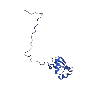 0370_6n8k_X_v1-1
Cryo-EM structure of early cytoplasmic-immediate (ECI) pre-60S ribosomal subunit