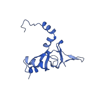 0370_6n8k_Y_v1-1
Cryo-EM structure of early cytoplasmic-immediate (ECI) pre-60S ribosomal subunit