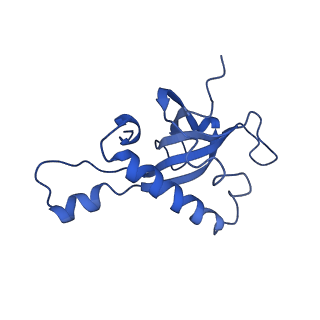 0370_6n8k_Z_v1-1
Cryo-EM structure of early cytoplasmic-immediate (ECI) pre-60S ribosomal subunit